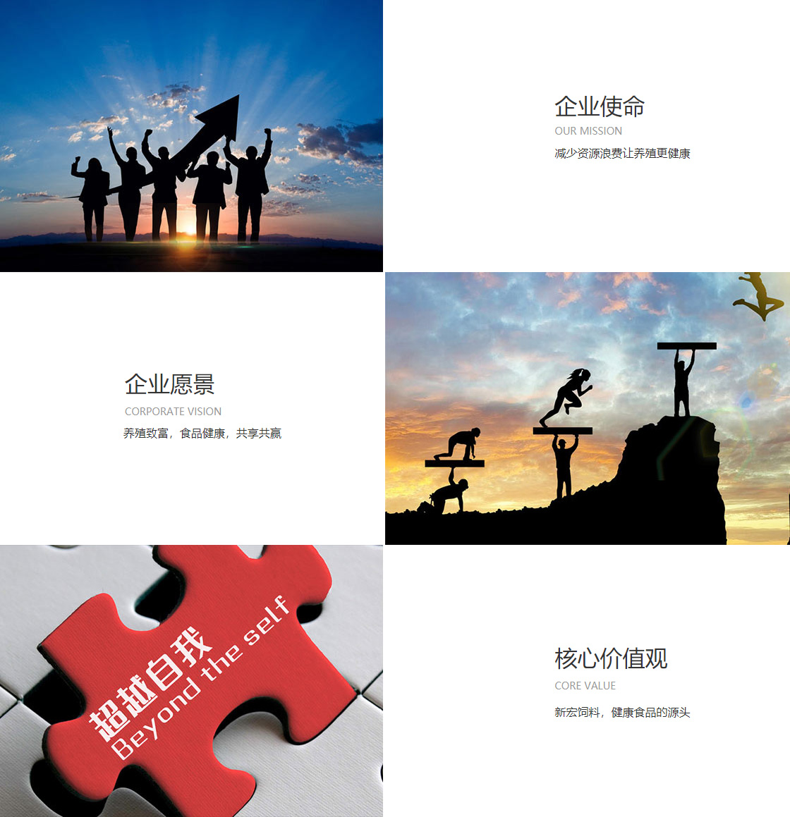 亚太体育app(图1)